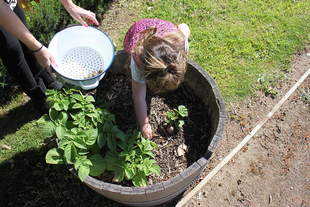 Eat your greens www.cherryandme.com