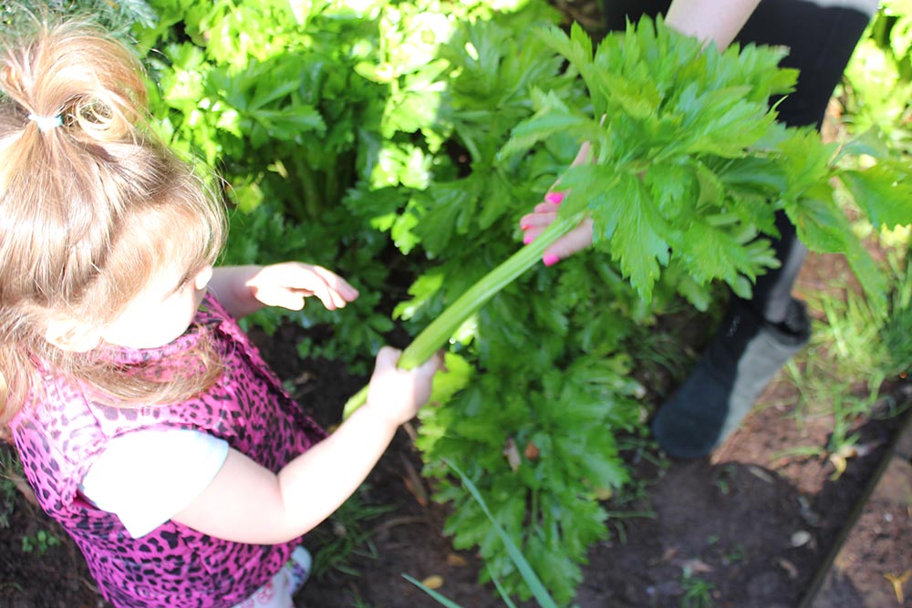 Eat your greens www.cherryandme.com