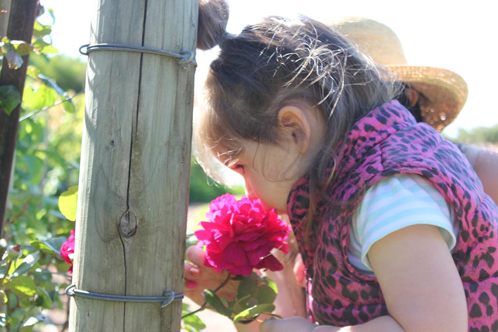 Eat your greens www.cherryandme.com