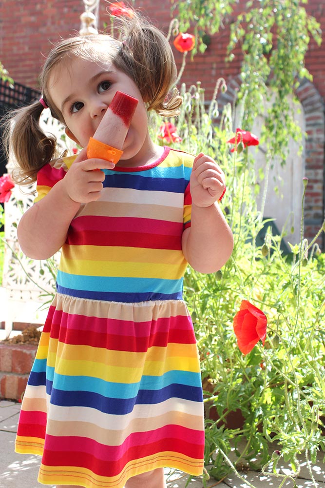 Five Am Yogurt Pops cherryandme.com