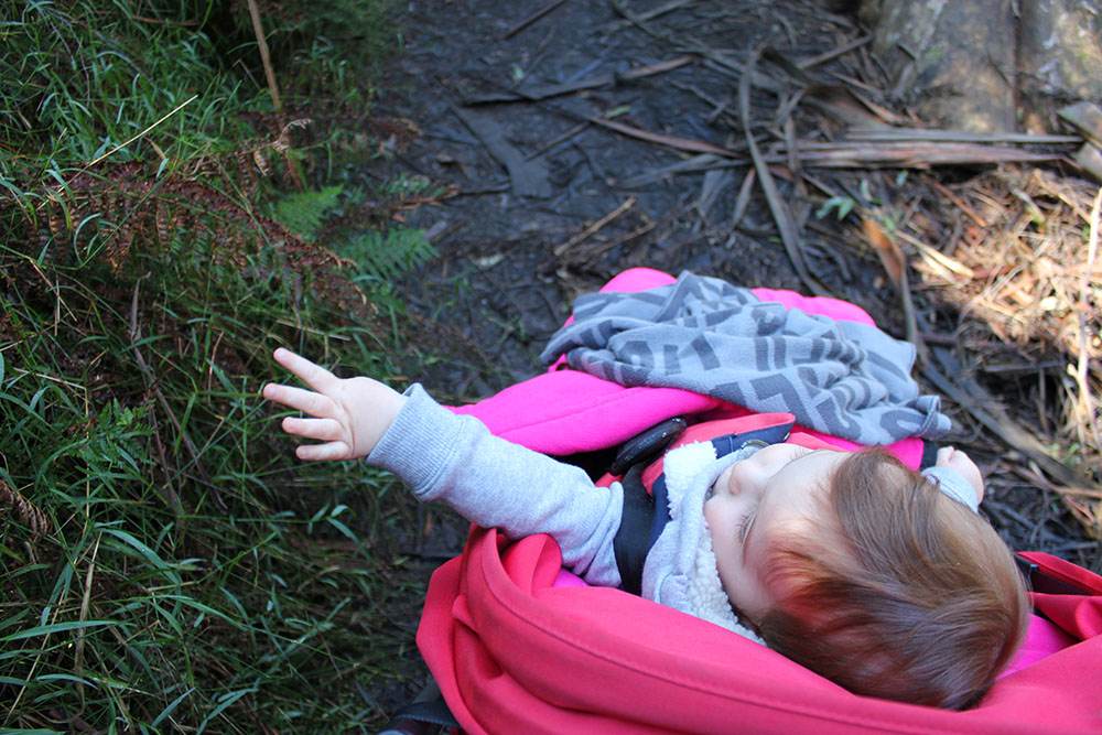 The Dandenongs www.cherryandme.com