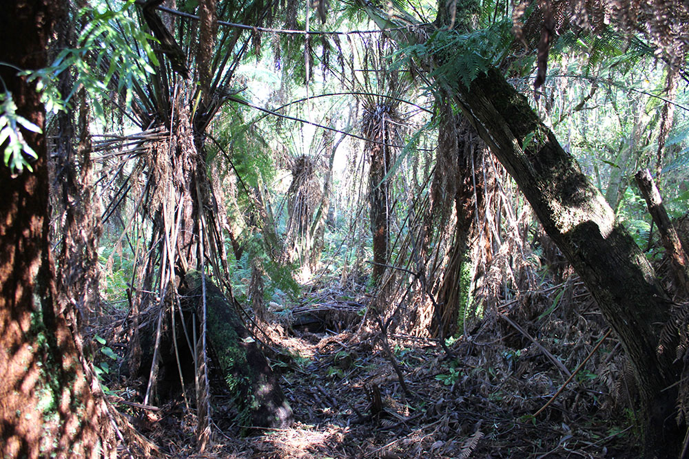 The Dandenongs www.cherryandme.com
