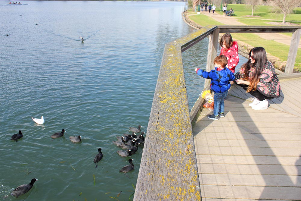 Albert Park Lake www.cherryandme.com