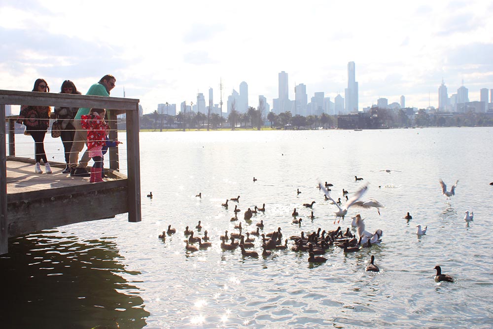 Albert Park Lake www.cherryandme.com
